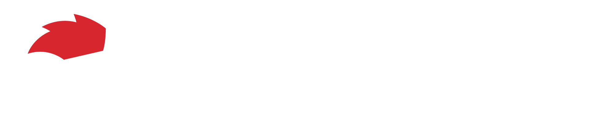 GameSir